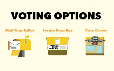 Voting Options