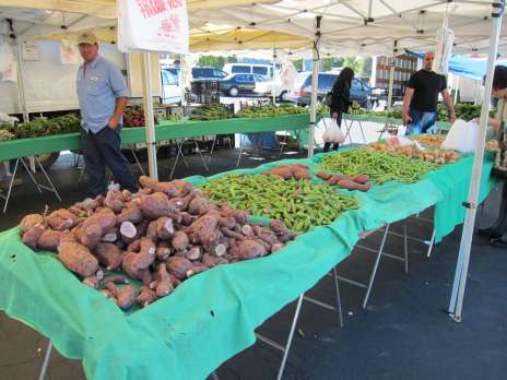 Pop-Up Voting at Buena Park Farmer’s Market Tomorrow